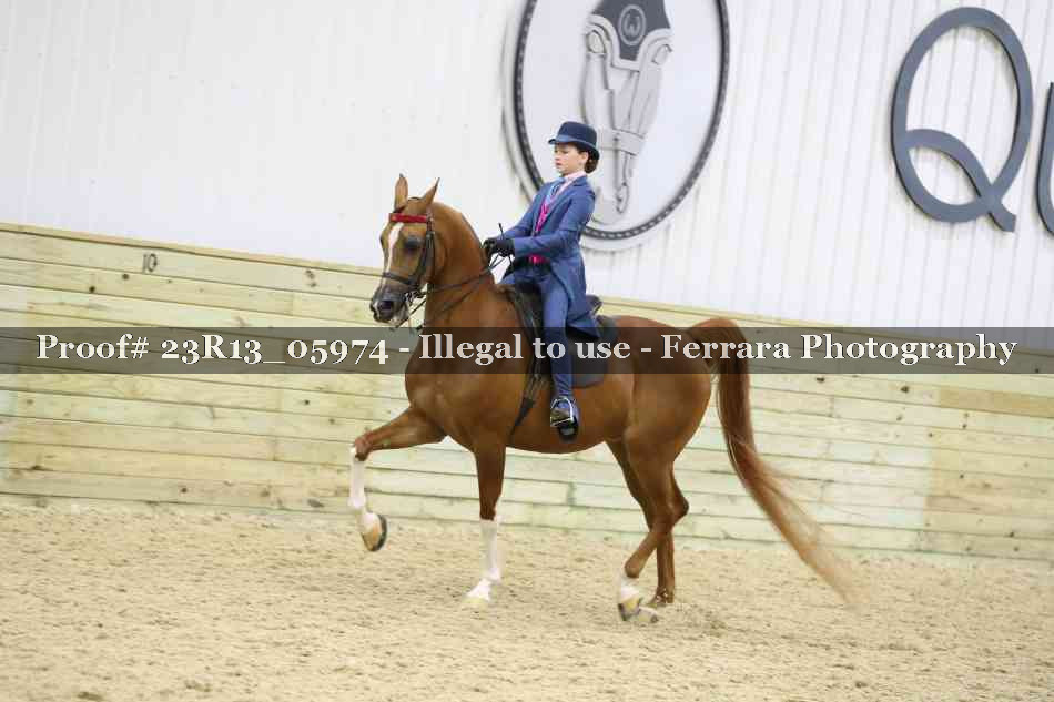 Proof 23R13_05974