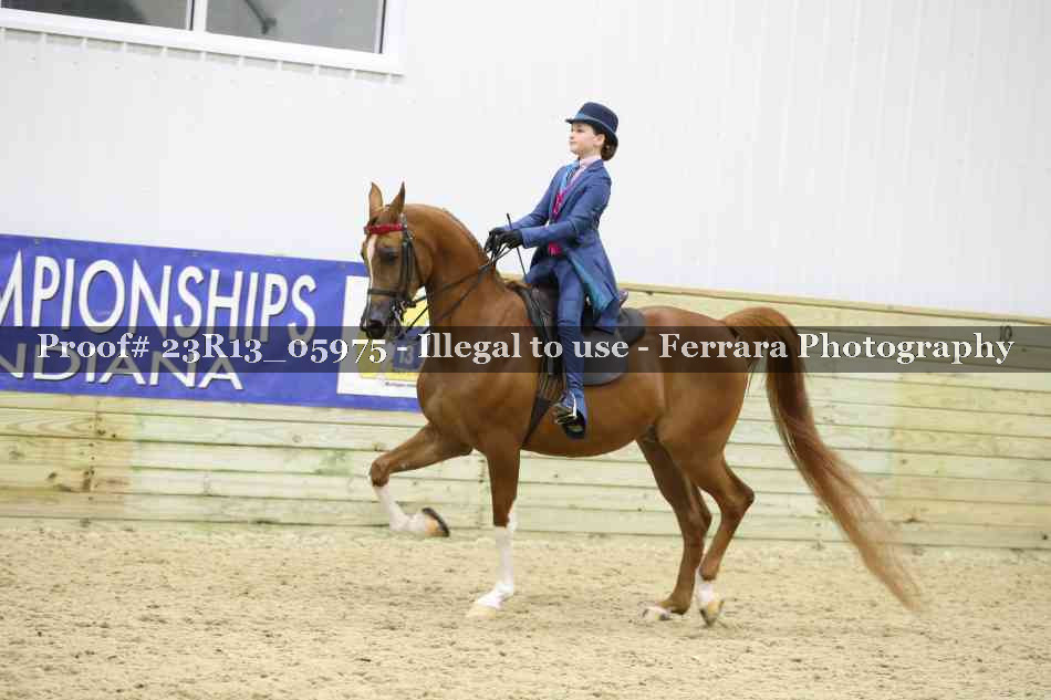 Proof 23R13_05975