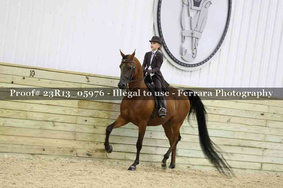 Proof 23R13_05976