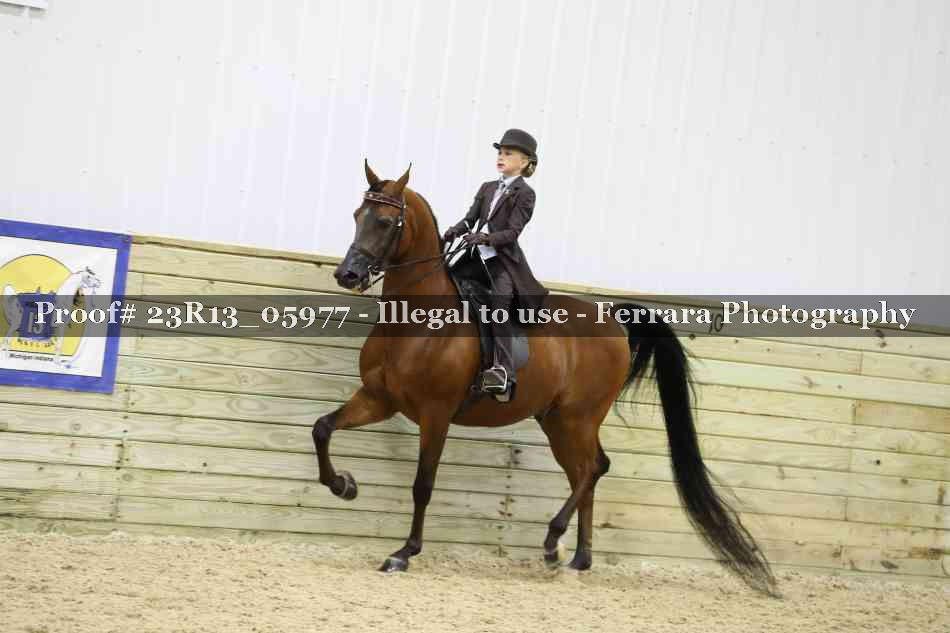 Proof 23R13_05977