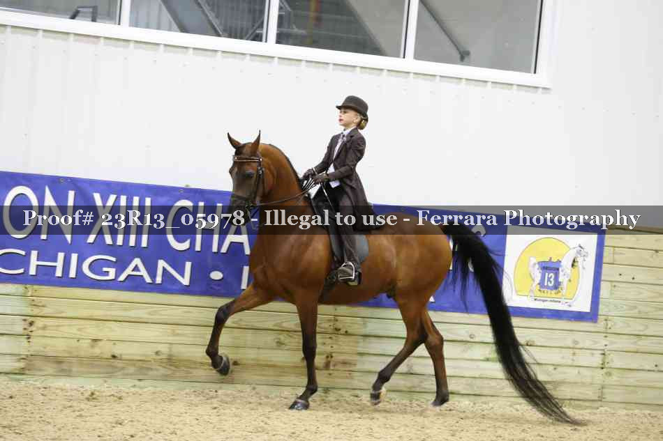 Proof 23R13_05978