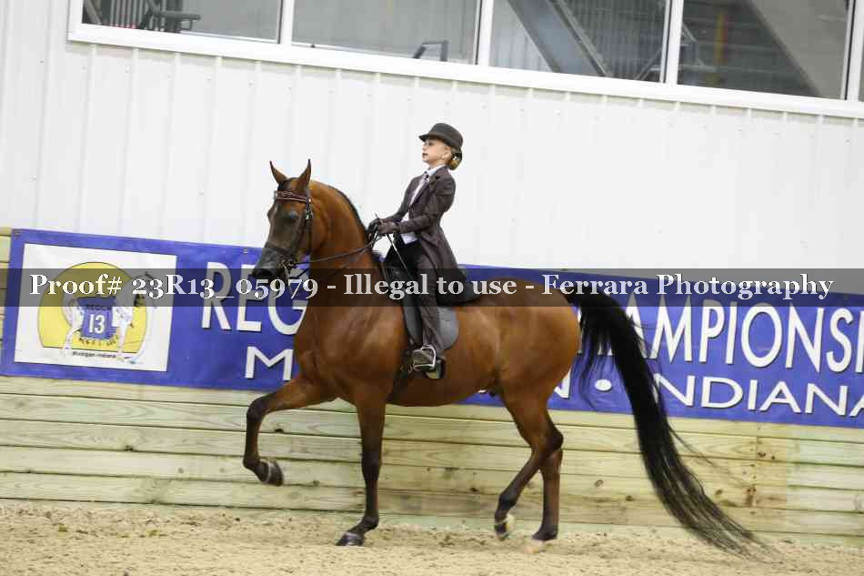 Proof 23R13_05979