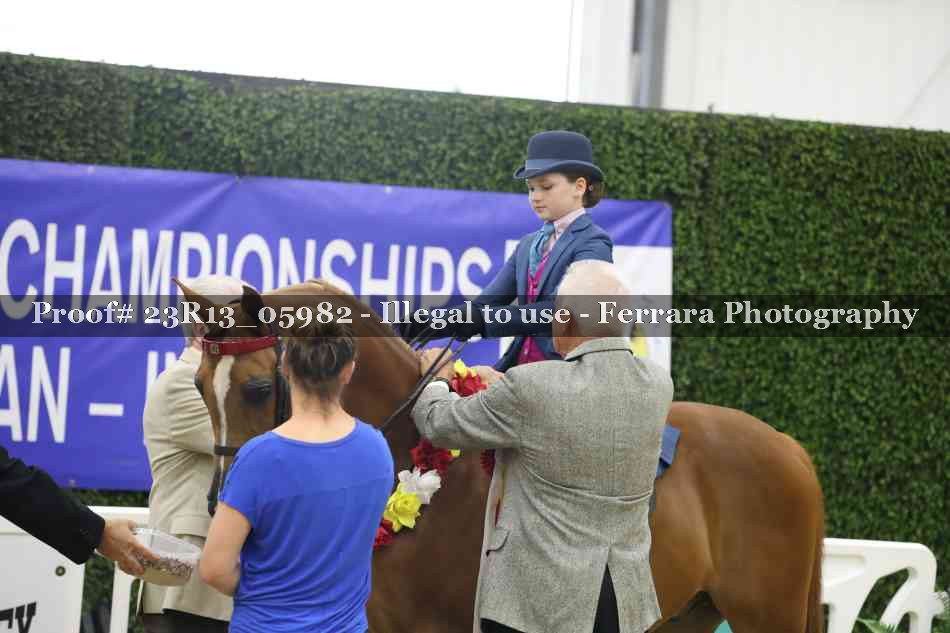 Proof 23R13_05982