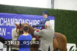 23R13_05982 proof