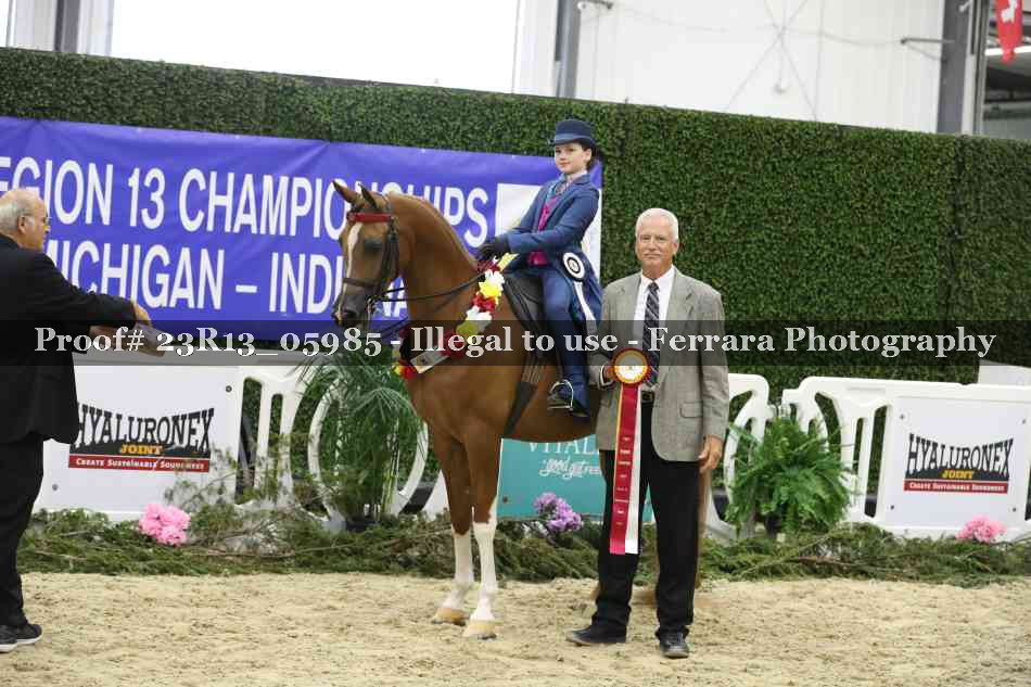 Proof 23R13_05985
