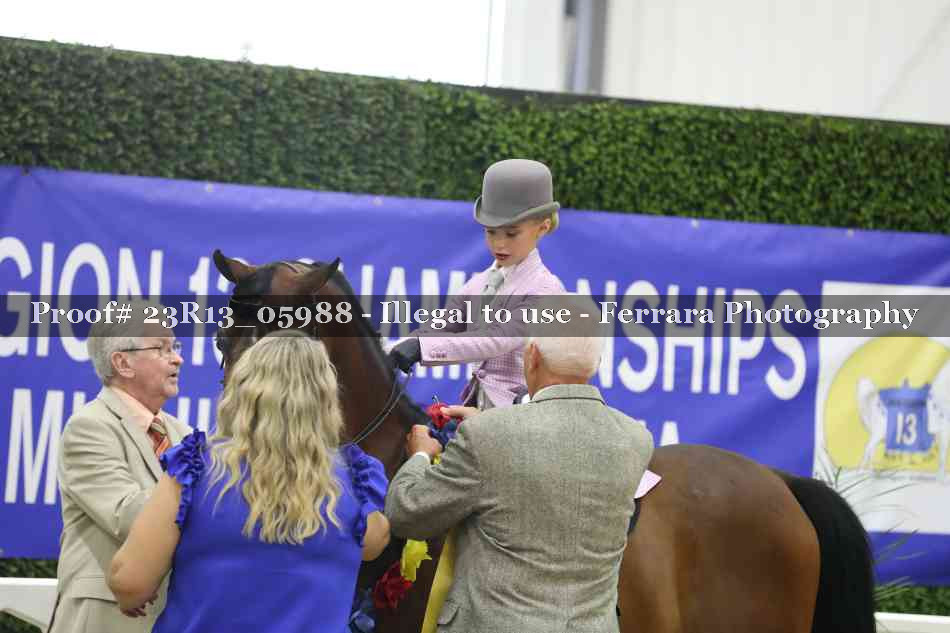 Proof 23R13_05988