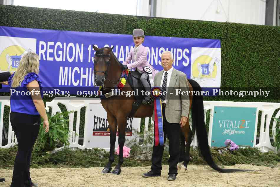 Proof 23R13_05991