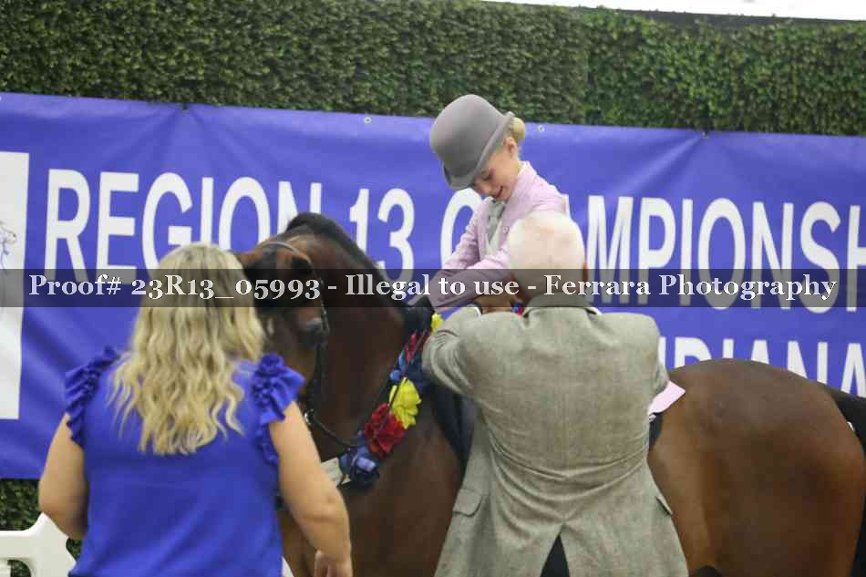 Proof 23R13_05993