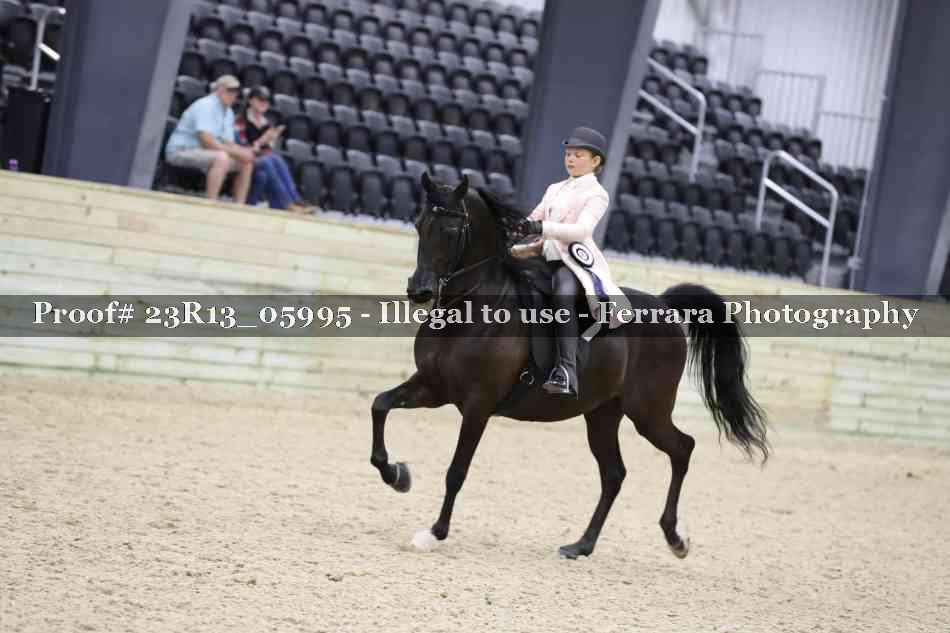 Proof 23R13_05995