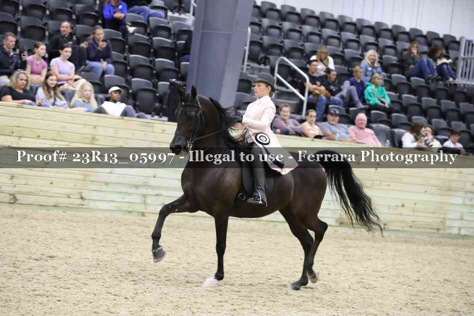 Proof 23R13_05997