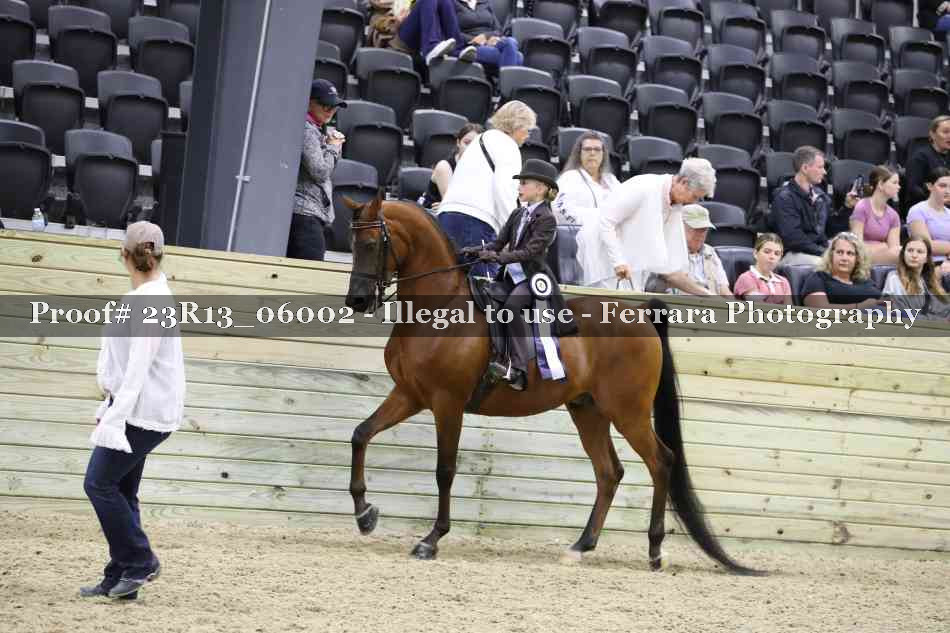 Proof 23R13_06002