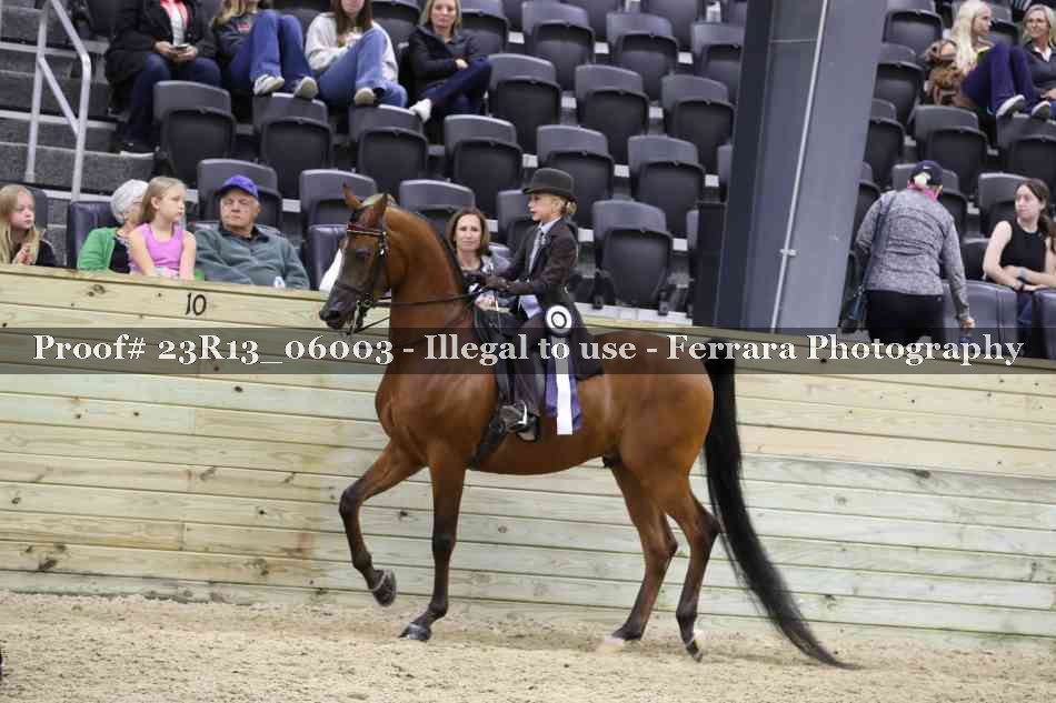 Proof 23R13_06003