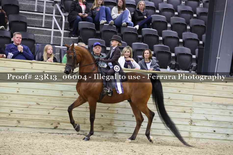 Proof 23R13_06004