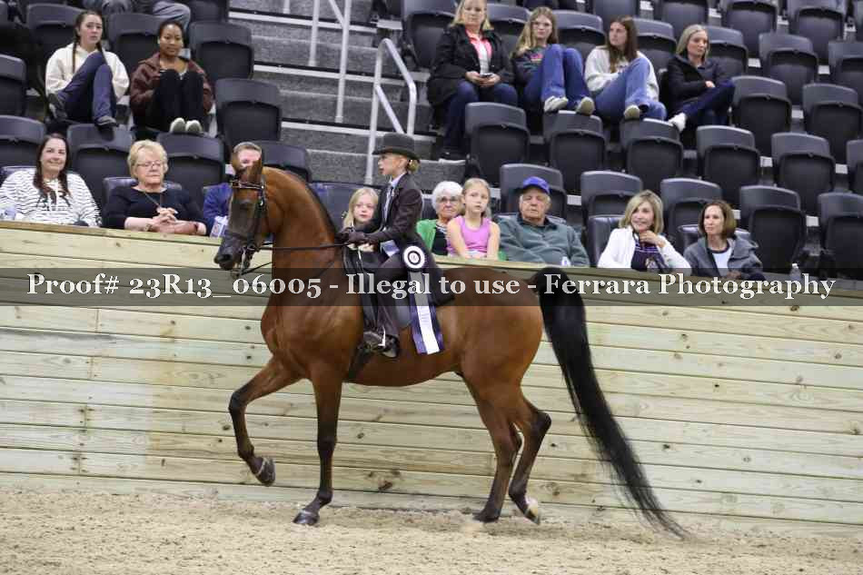 Proof 23R13_06005