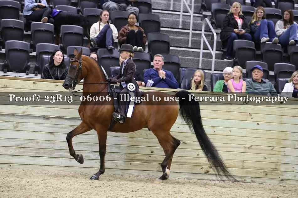 Proof 23R13_06006