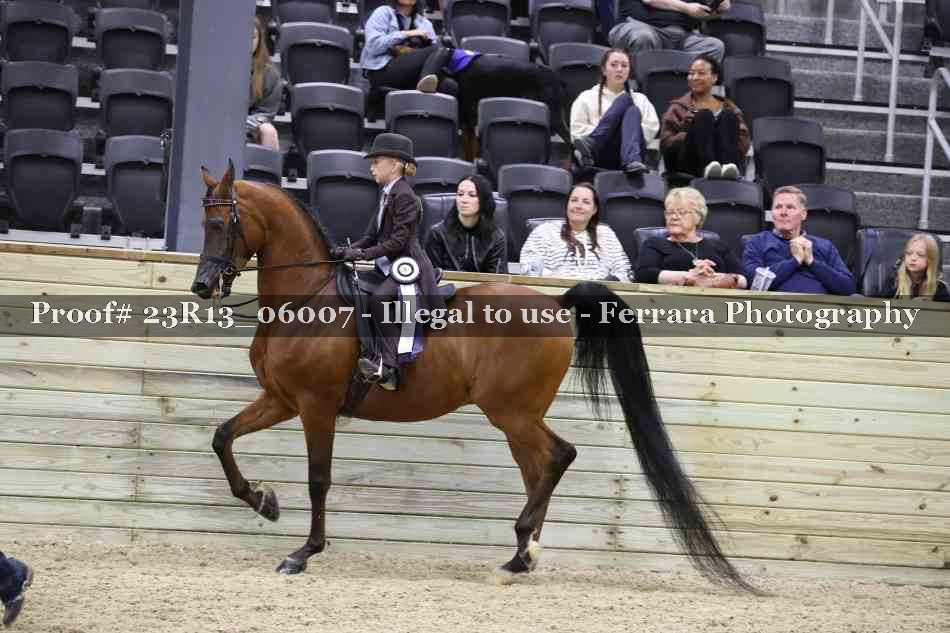 Proof 23R13_06007