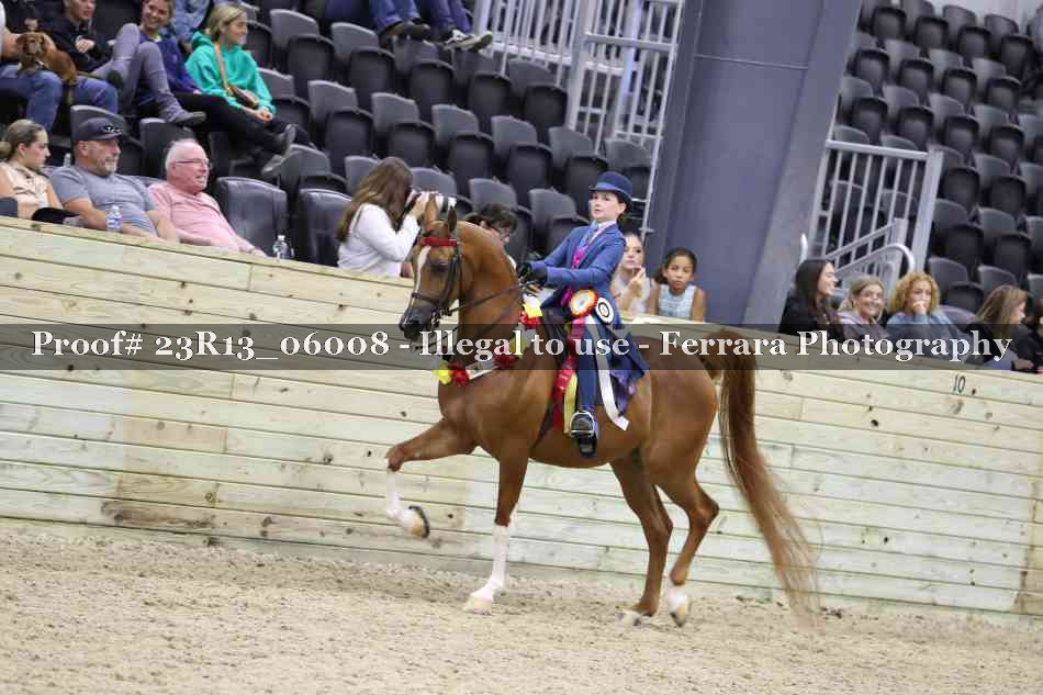 Proof 23R13_06008