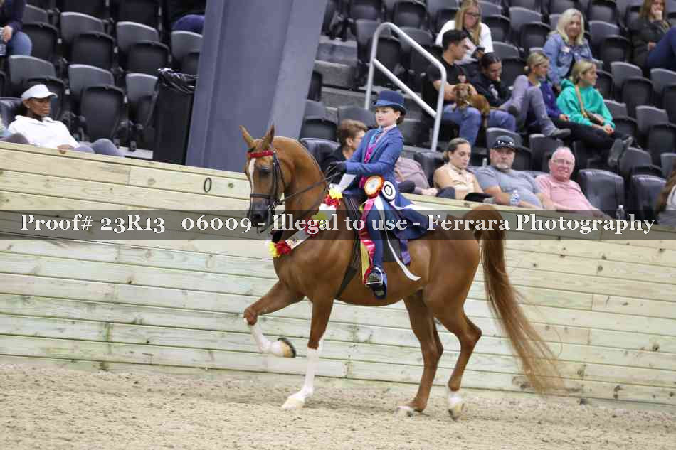 Proof 23R13_06009