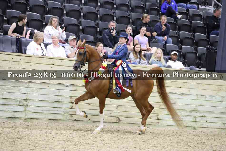 Proof 23R13_06010