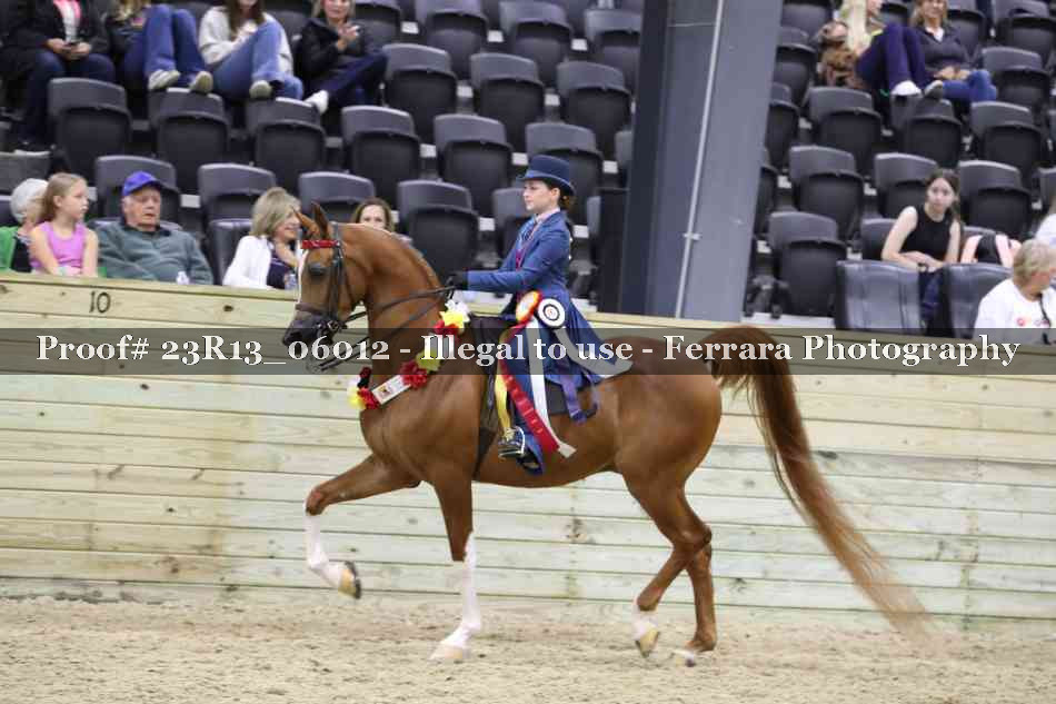 Proof 23R13_06012