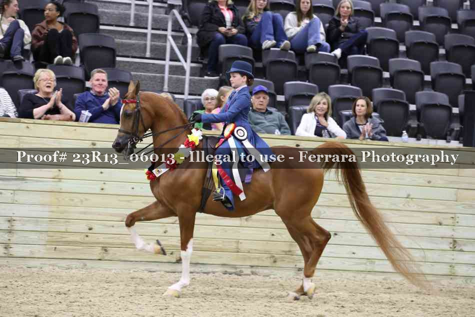 Proof 23R13_06013
