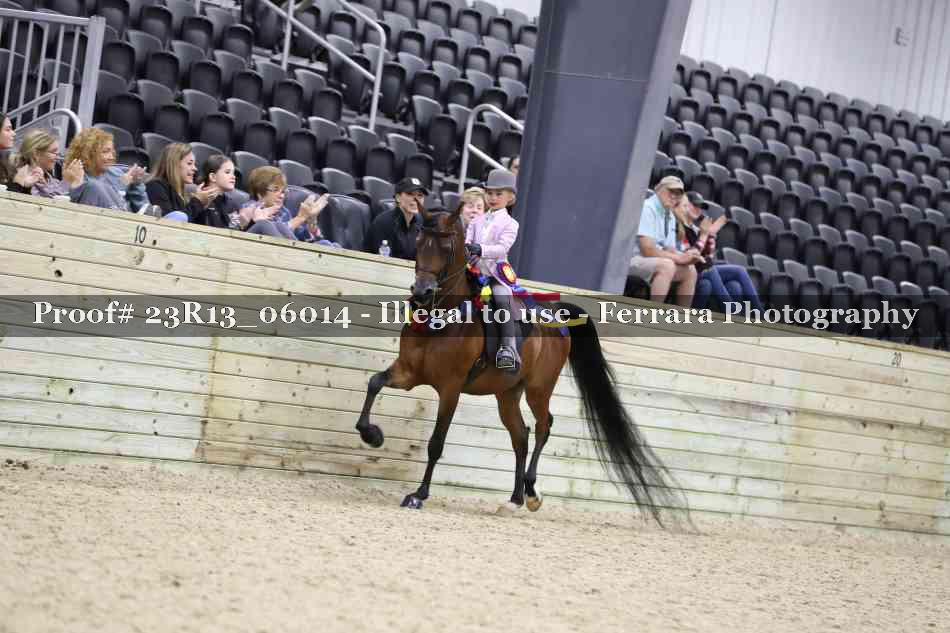 Proof 23R13_06014