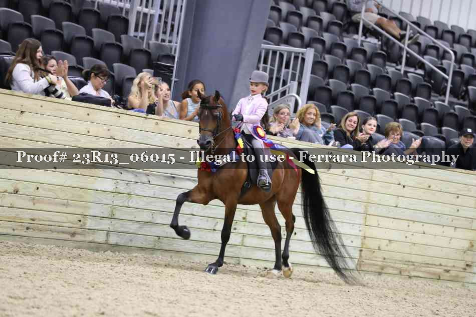 Proof 23R13_06015