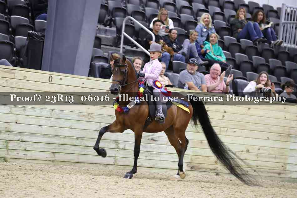 Proof 23R13_06016