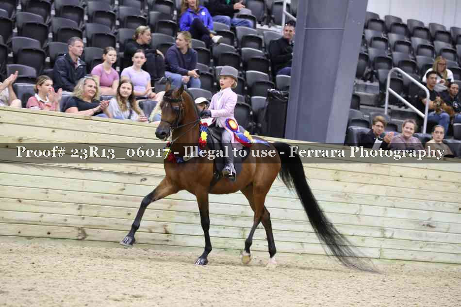 Proof 23R13_06017