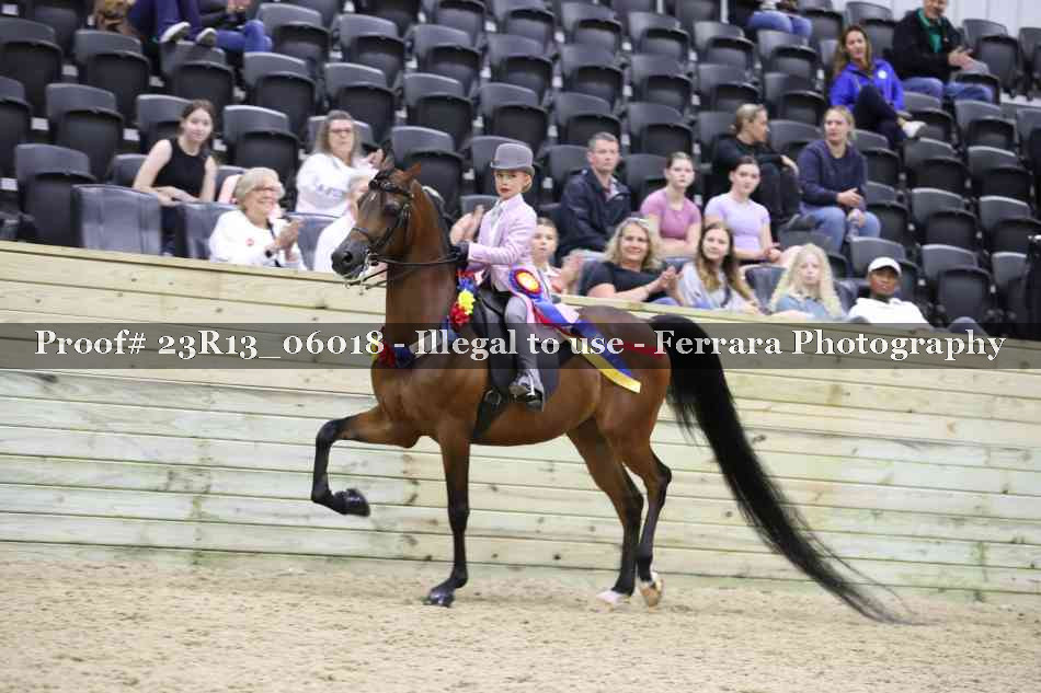 Proof 23R13_06018