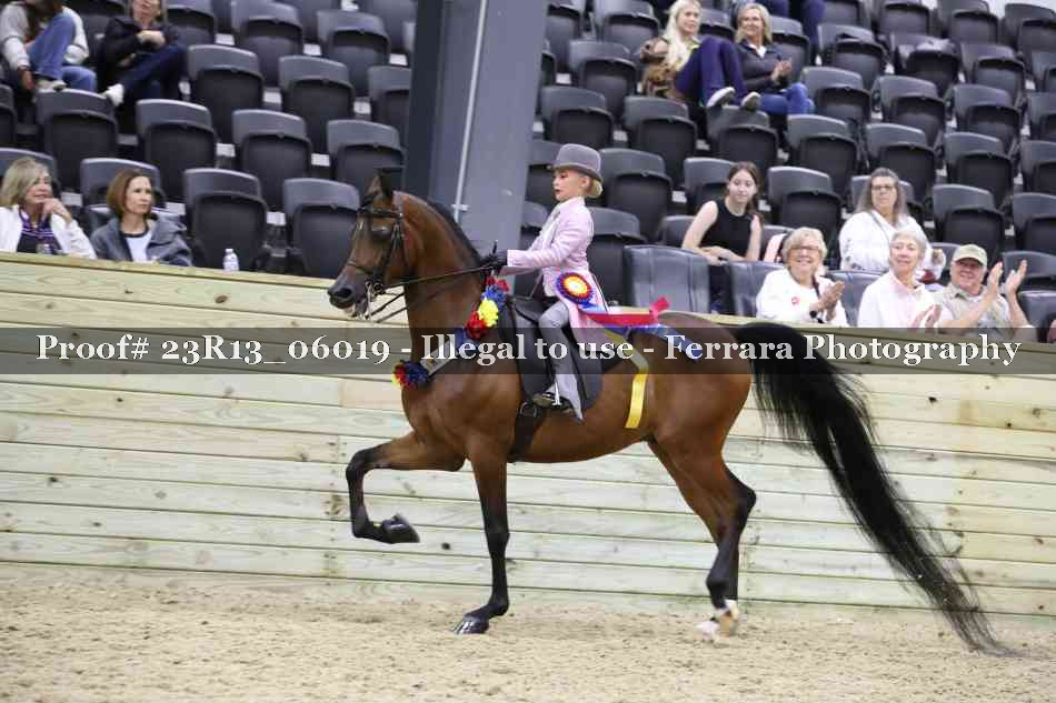 Proof 23R13_06019