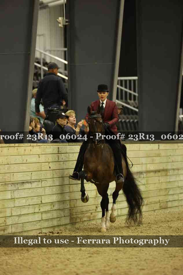 Proof 23R13_06024