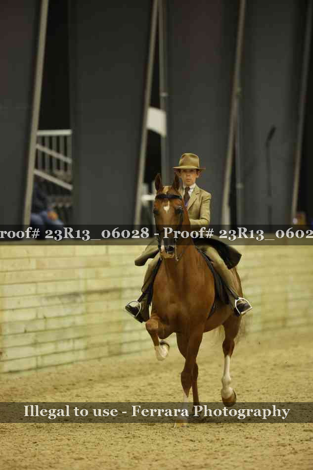 Proof 23R13_06028