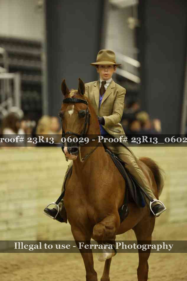 Proof 23R13_06029
