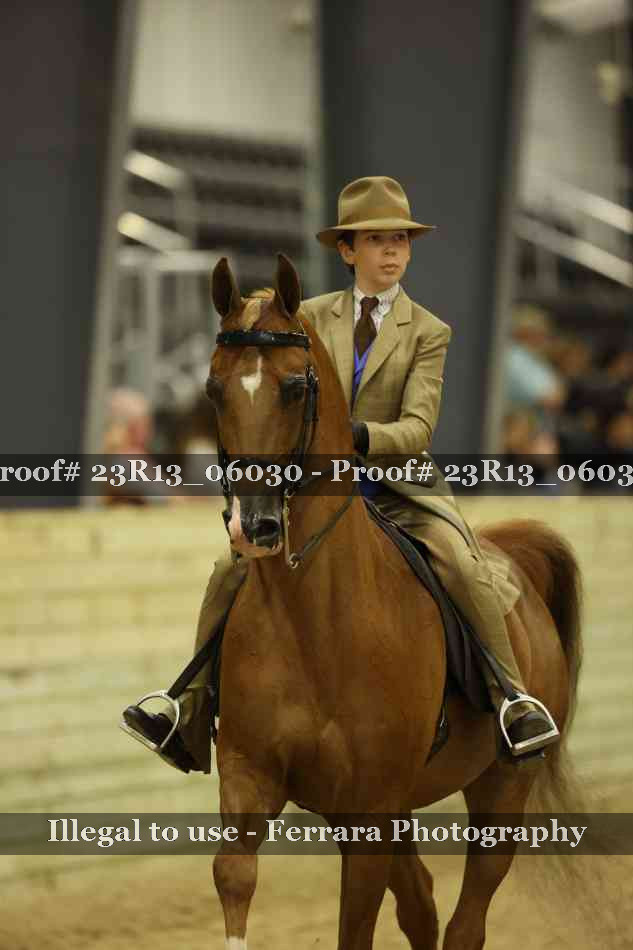 Proof 23R13_06030