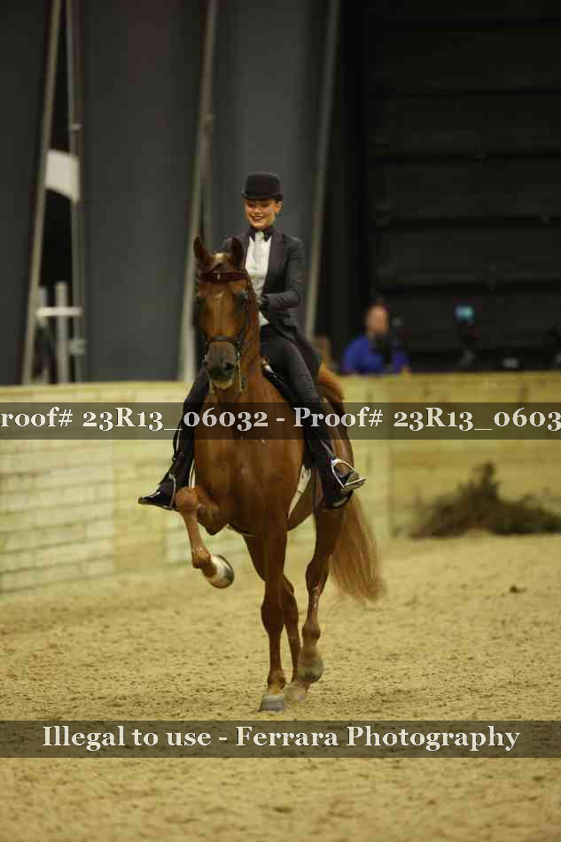 Proof 23R13_06032