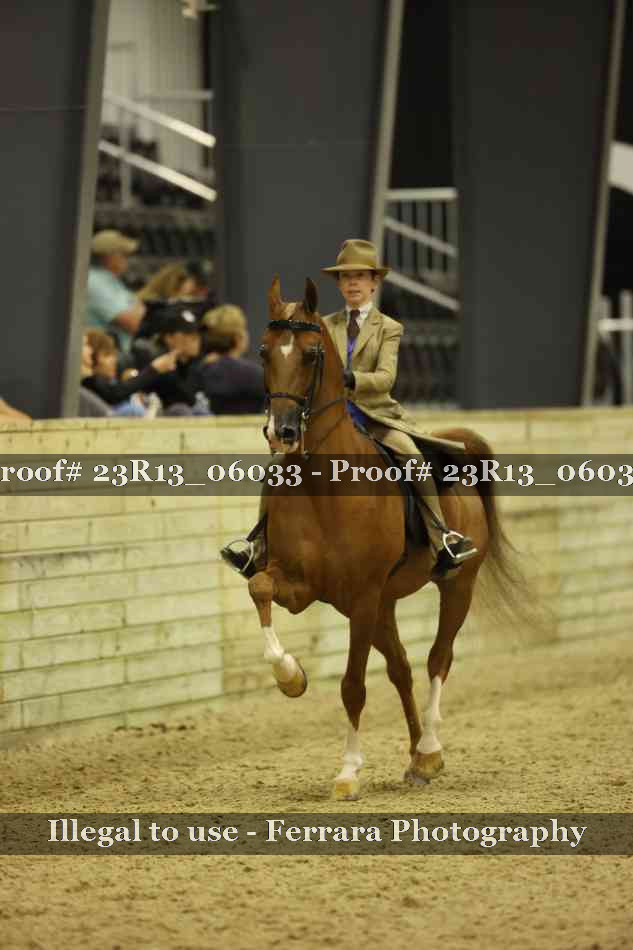 Proof 23R13_06033
