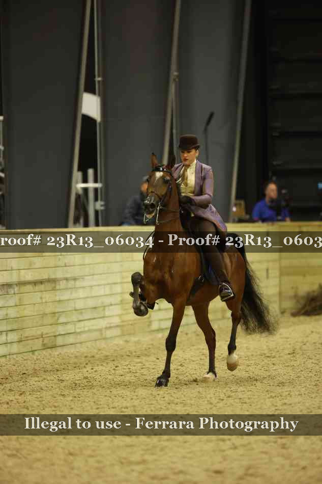 Proof 23R13_06034