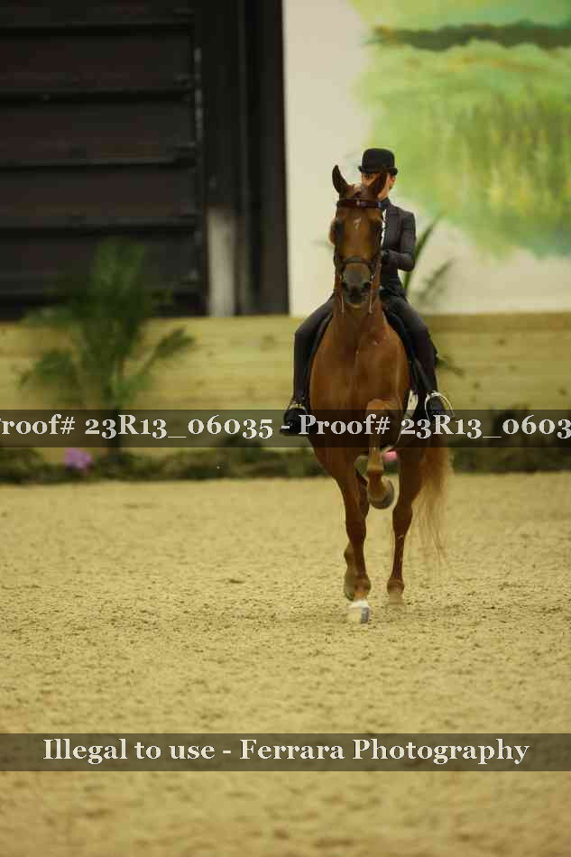 Proof 23R13_06035