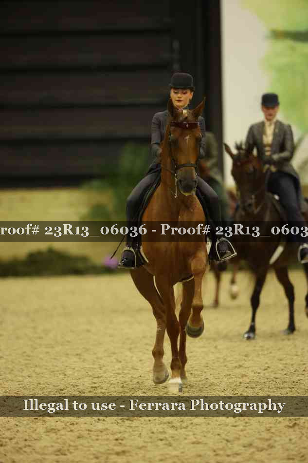 Proof 23R13_06036
