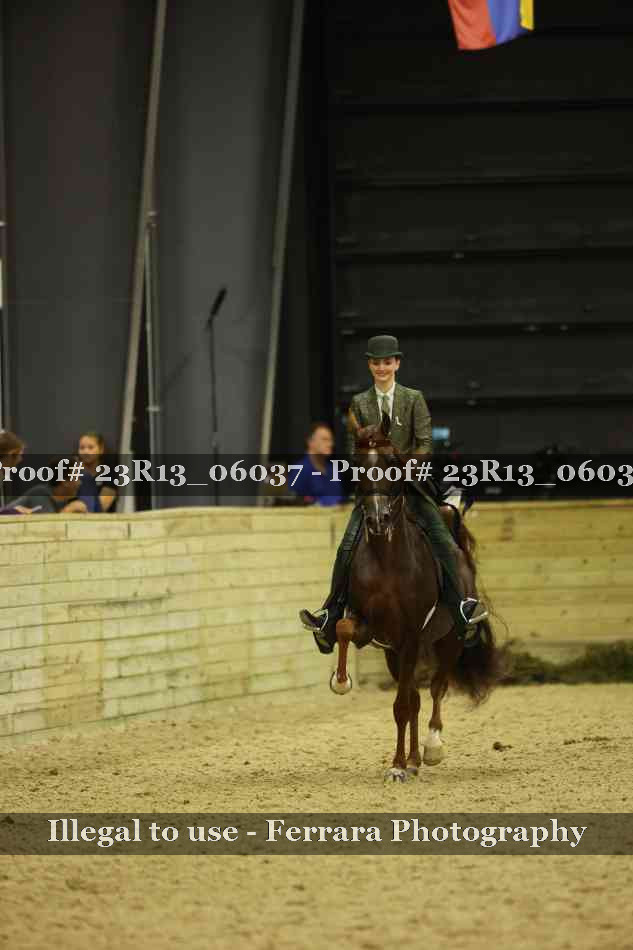 Proof 23R13_06037