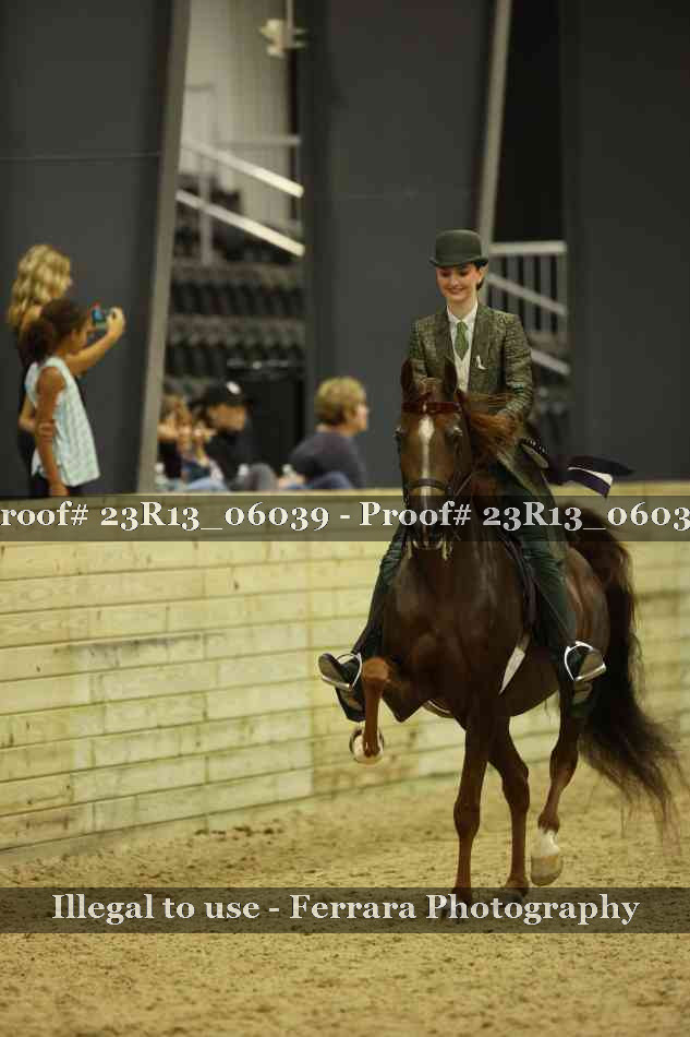 Proof 23R13_06039