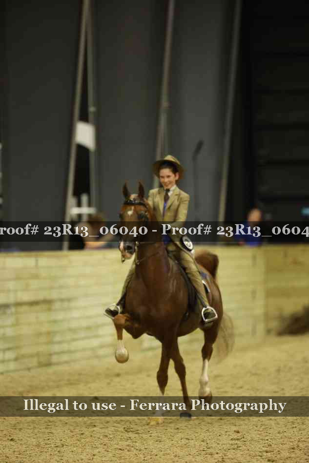 Proof 23R13_06040