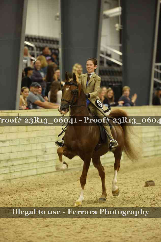 Proof 23R13_06041