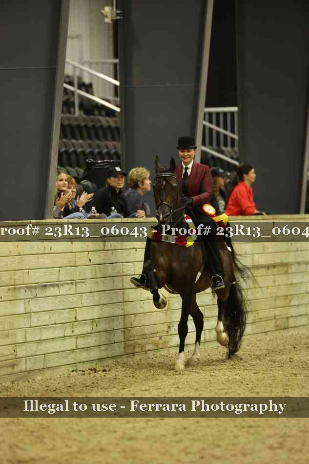 Proof 23R13_06043