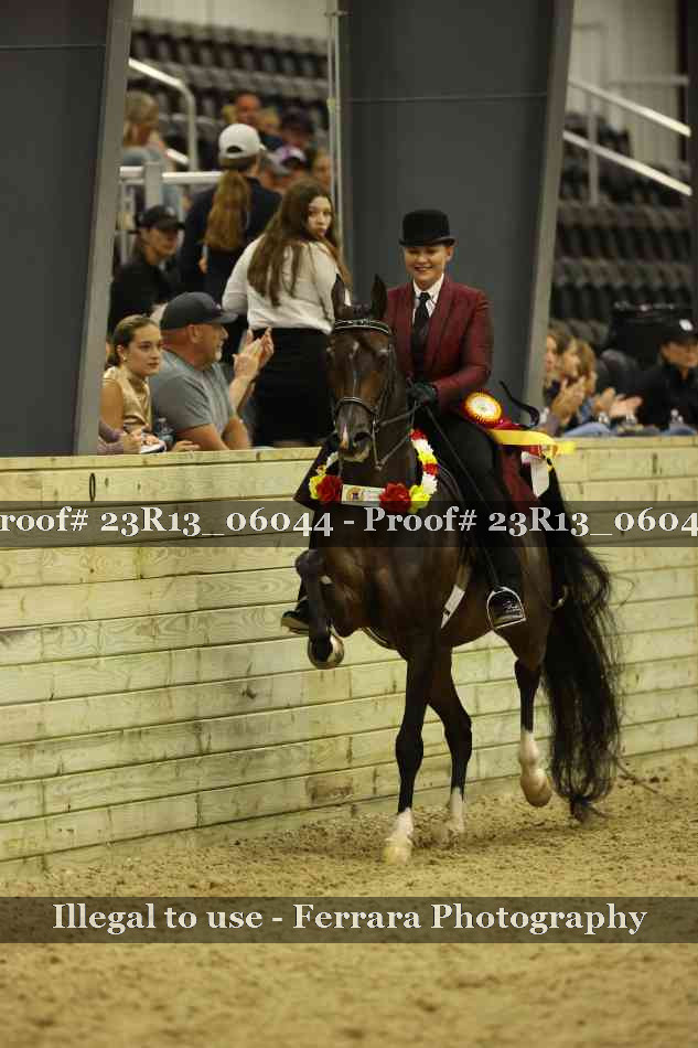 Proof 23R13_06044