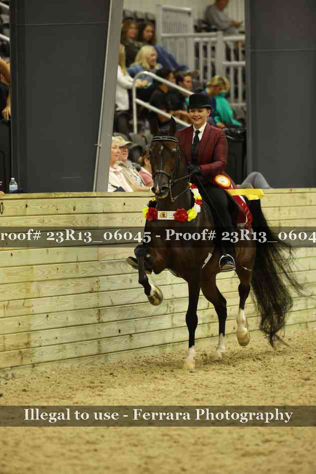 Proof 23R13_06045
