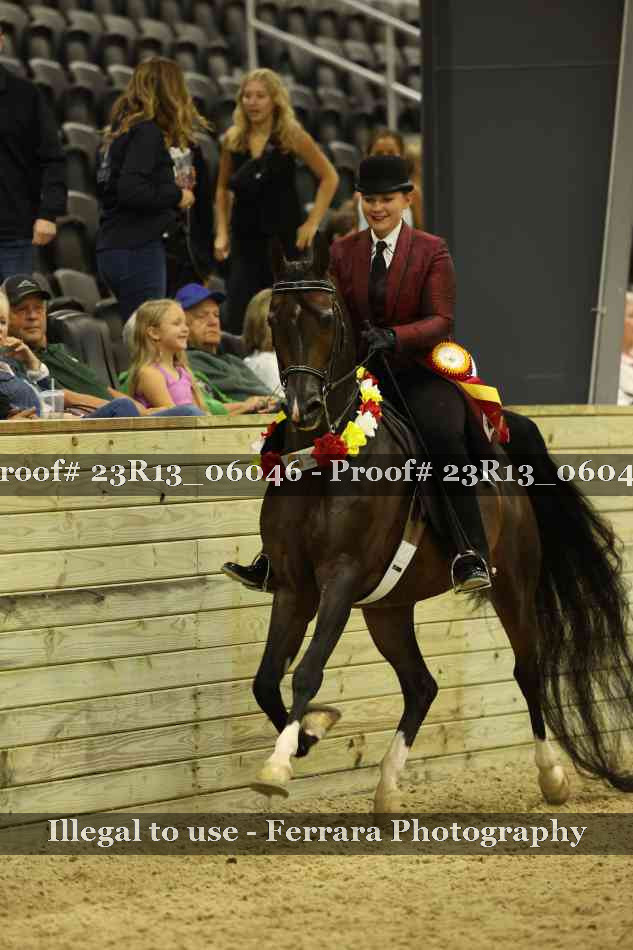 Proof 23R13_06046