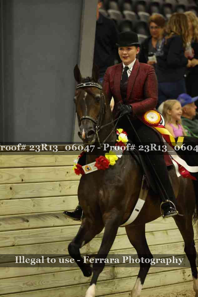 Proof 23R13_06047
