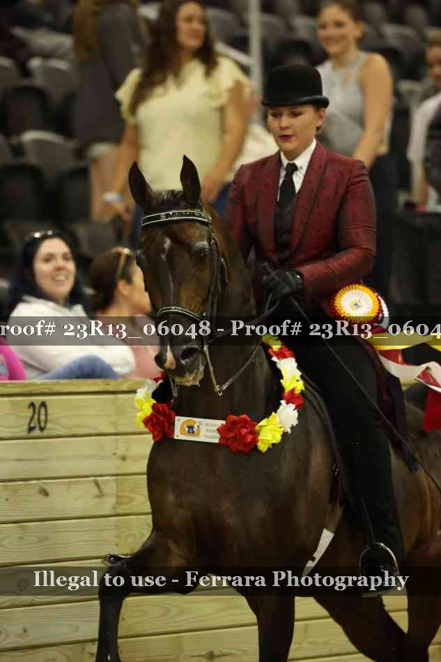 Proof 23R13_06048